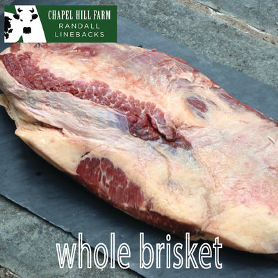 Randall Lineback Brisket (Packer Cut)