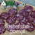 Randall Lineback Sliced Salami: Provençal Recipe